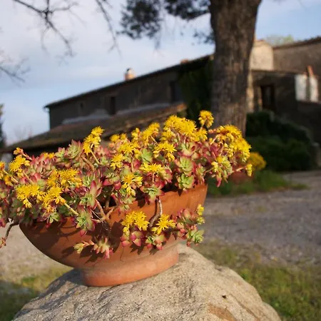 Podere Pinzicalari