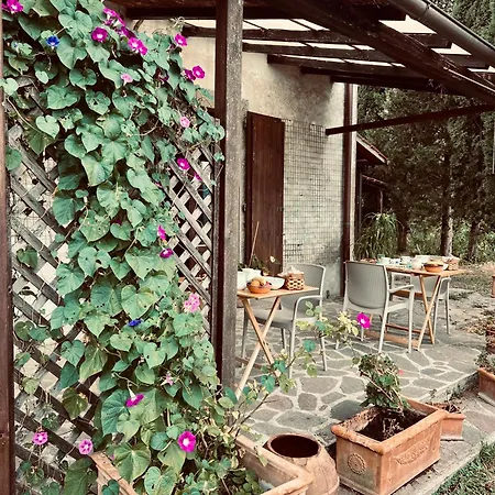 Podere Pinzicalari