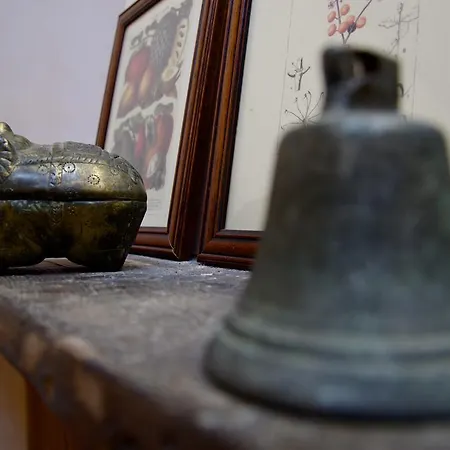 Bed & Breakfast Podere Pinzicalari Castel del Piano (Tuscany)