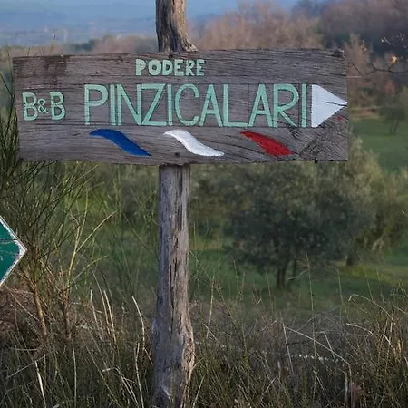 Podere Pinzicalari Castel del Piano (Tuscany)